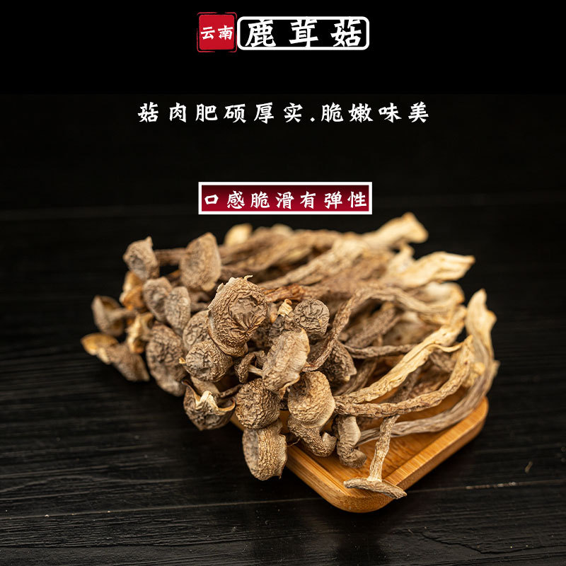 云南特产鹿茸菇新货干货一斤一袋煲汤炒菜1斤1袋 大量批发