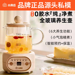 迷你养生壶小型办公室家用多功能保温养生杯花茶壶煮茶壶礼