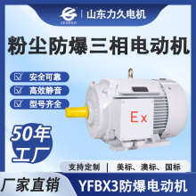 山东力久供应三相异步电动机 YFBX3系列2极高效率粉尘防爆电机