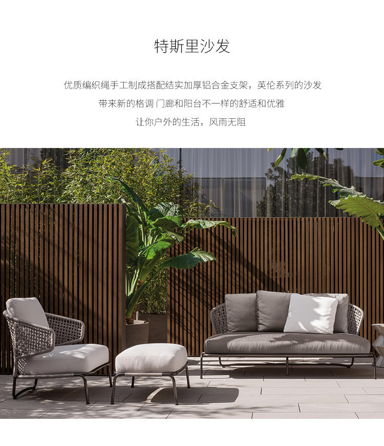 特斯里-01.jpg