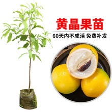 �S�������ļ��S����������������ԁ����������S������۵��S����