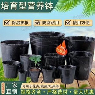 �I�B�����籭�Ӻ��ɫһ����ܛ�ܻ���Nֲ��̖�I�B�������������