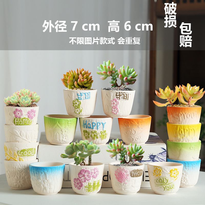 Macetas de cerámica para suculentas con diseño de animales de dibujos animados, pequeño tamaño, para estante de flores en casa, suministro al por mayor