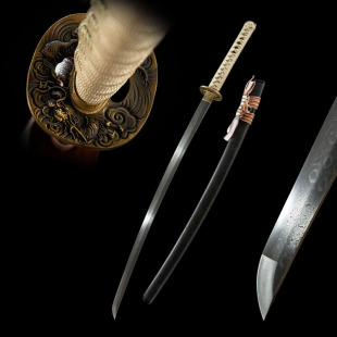 ���Q�ֹ����Rʿ��õ��y�ձ���һ�w�L���Ӻϵ���katanaδ�_��