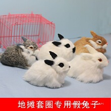 �[�ؔ���Ȧ�����ӷ���С����ģ��ë�q�����ż��ͯ��߻\����