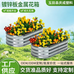 �E�A����\����ٻ������ͥԺ̧�߷Nֲ�۲ˈ@��������Nֲ��