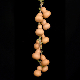Natural Small Gourd Hand-Twisted Pendant String Home Decoration for Living Room, Office, Entrance Wall Hanging Ornament