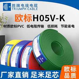 欧标VDE铜芯软电线H05V-K、H07V-K电子线0.5~95平方电源线CE认证
