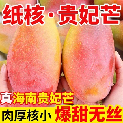 Guangxi Guifei Mango Fresh Fruit, Freshly Picked from the Tree, Golden and Sweet, Perfect for Pregnant Women, Whole Box