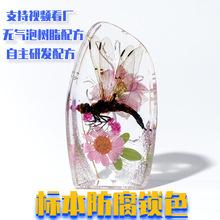 真标本树脂滴胶摆件家具装饰立体摆台高级感显贵的生日礼物礼品