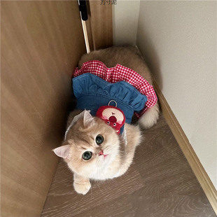 Berry Cat Clothes, Little Yellow Chicken Dog Dress, Denim Lace Sling, Traction Buckle, Thai Pet Harness Wholesale