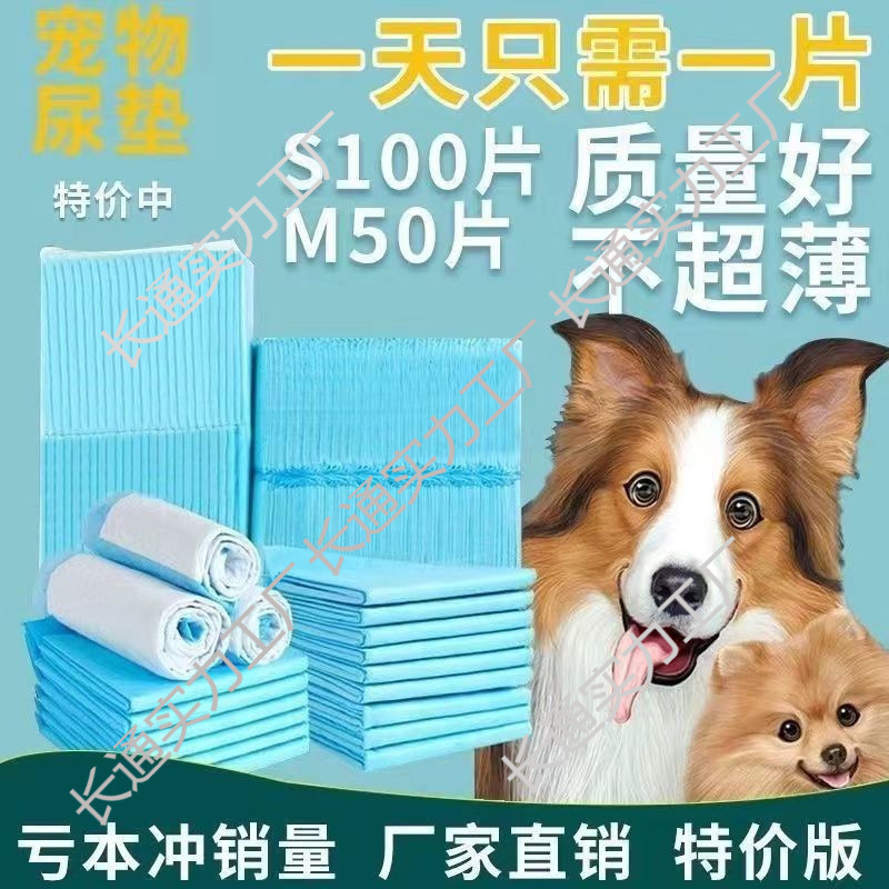ペット用おむつパッド、犬用おむつパッド、犬用おむつパッド、猫用おむつパッド|undefined