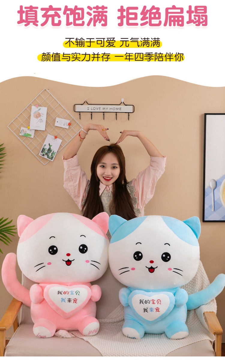 抱心情侣大脸猫 (3).jpg