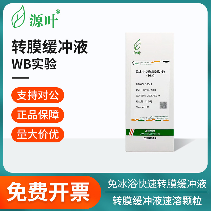 源叶转膜缓冲液免冰浴快速转膜缓冲速溶转移缓冲液PVDF膜浸润活化