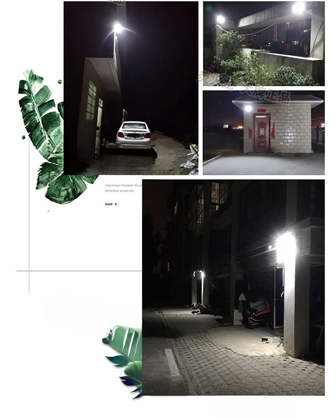 acaef145-1380-456d-9060-2f0370f3ae23.jpe