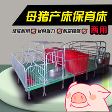 母猪产床保育一体两用养猪设备复合板保育床加厚分娩限位栏定位栏