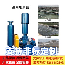 三叶罗茨鼓风机养殖增氧曝气设备气力输送鼓风机密集式罗茨鼓风❇