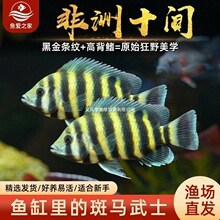 ʮ�g�~���޻��~�Ꭷ�^�p�~���w�~���͵�ˮ�~���������O��ֱ�l���]