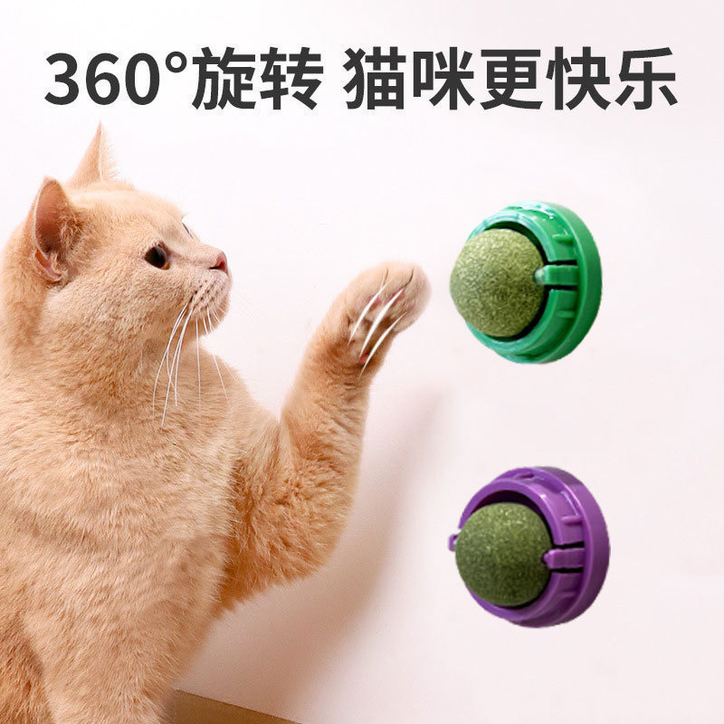 猫が舐めています。丸い形をしています。|undefined