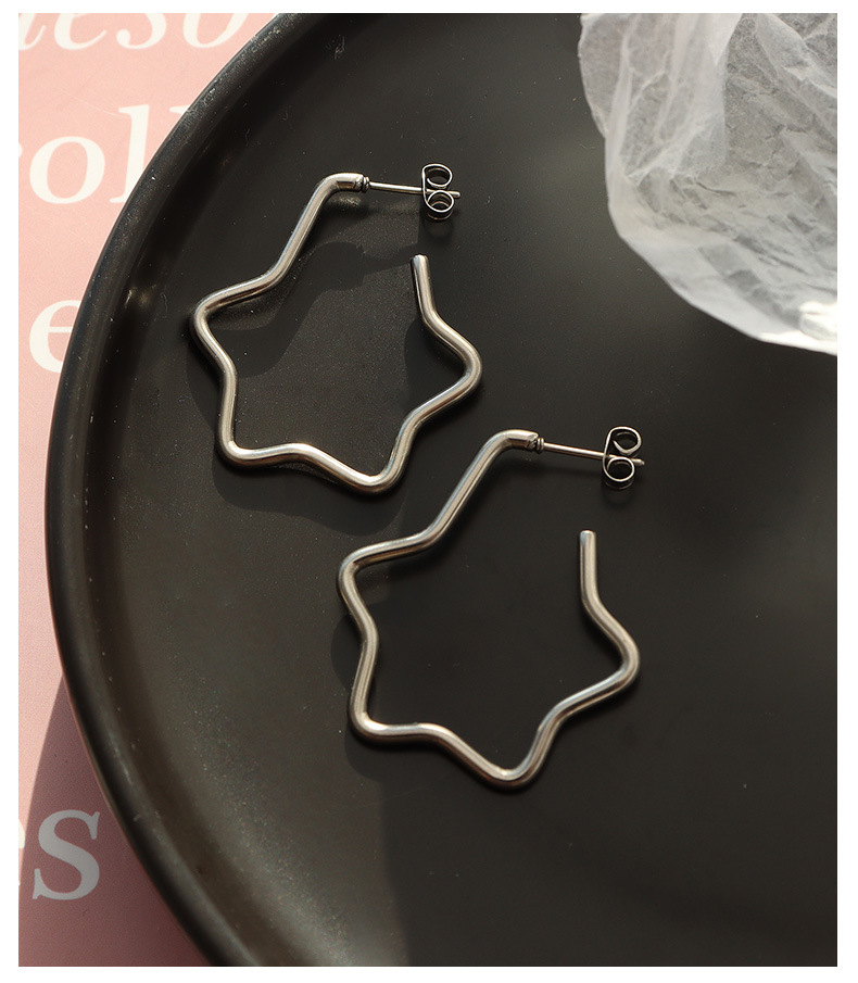 Fashion star titanium steel earrings
