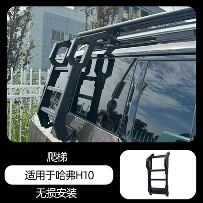 Other Car Modifications platform ladder backpack modification - haval-h10-armrest-ladder