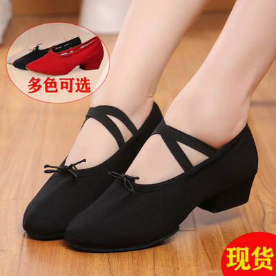 Dancing shoes adult soft sole Teachers shoes Practice children Dancing shoes Ballet Body classical