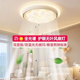 风扇灯;电风扇;吊扇