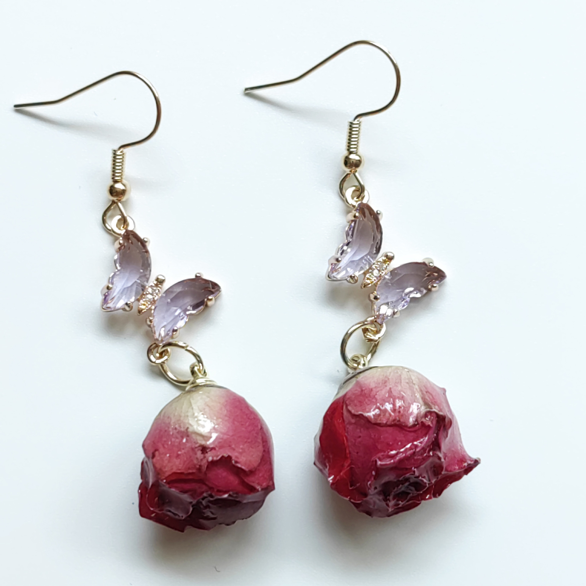 하오시 나비 붉은 장미