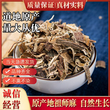 ���u�掟��  500�� �S���� ����{ ������ �S��Ƥ �в�ș��؛��؛