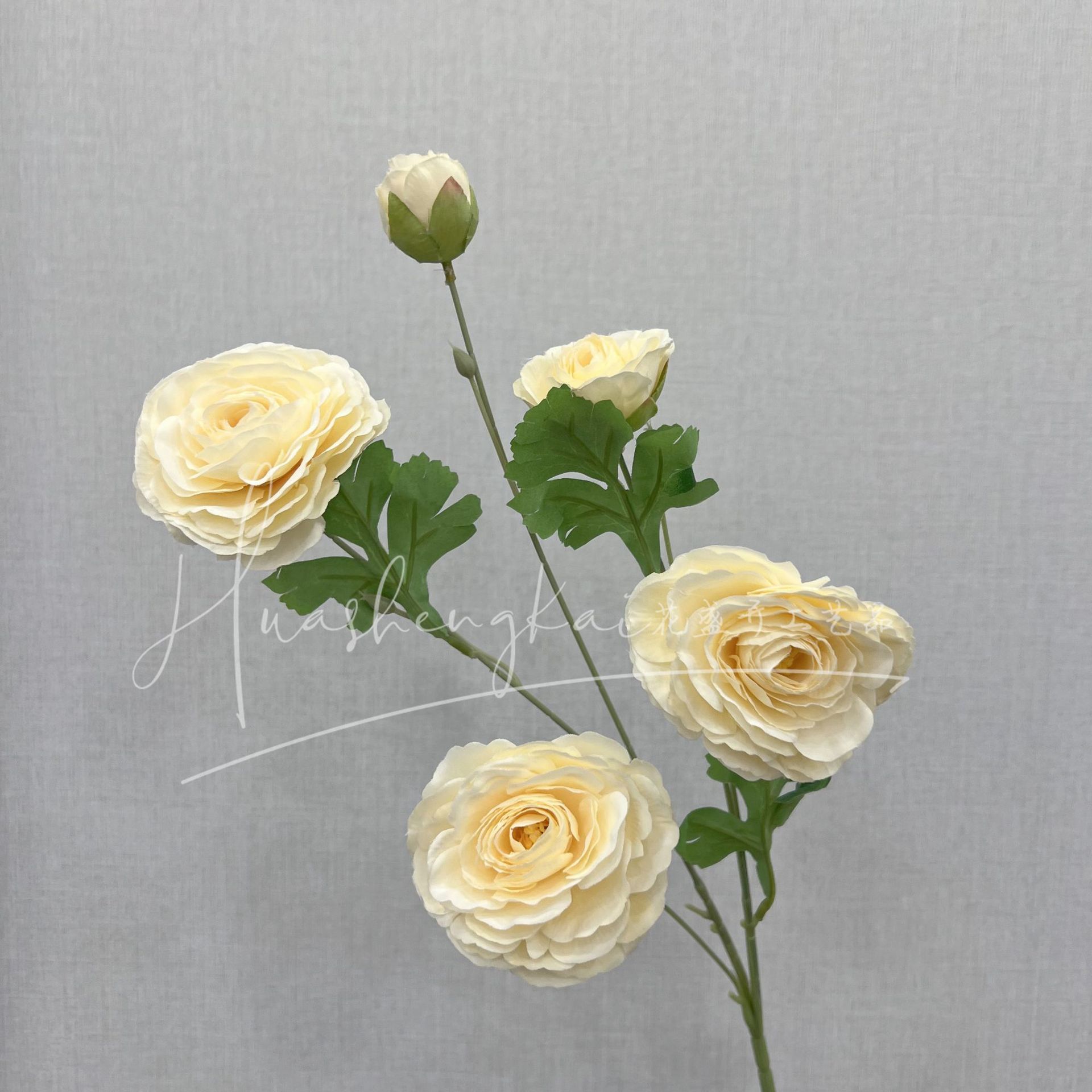 샴페인