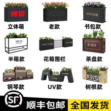 ���ⲻ�P䓻������⻨���Fˇ���ۮ��ξ��^�����V�����طNֲ��ř�