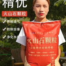 腾冲天然火山石颗粒兰花多肉营养土铺面拌土鱼缸水族造景过滤