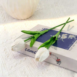 �S�ҹ�������Gֲ��������滨��c�ٻ��ָ�������Ҿӿ͏d�b[