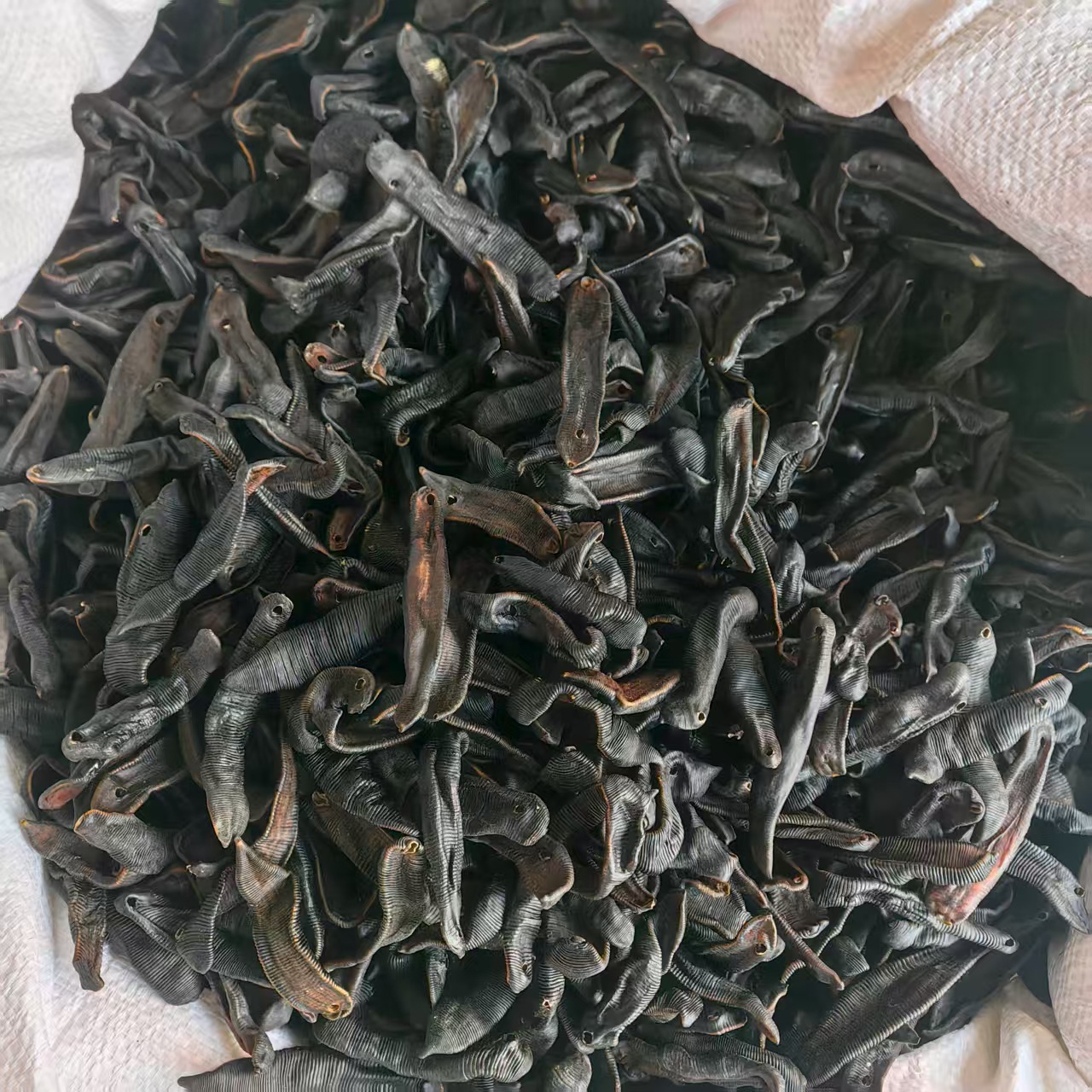 Dried Leech Shui Zhi 水蛭 Whole Dried Medicinal Herb 500g Traditional TCM Ingredient key features