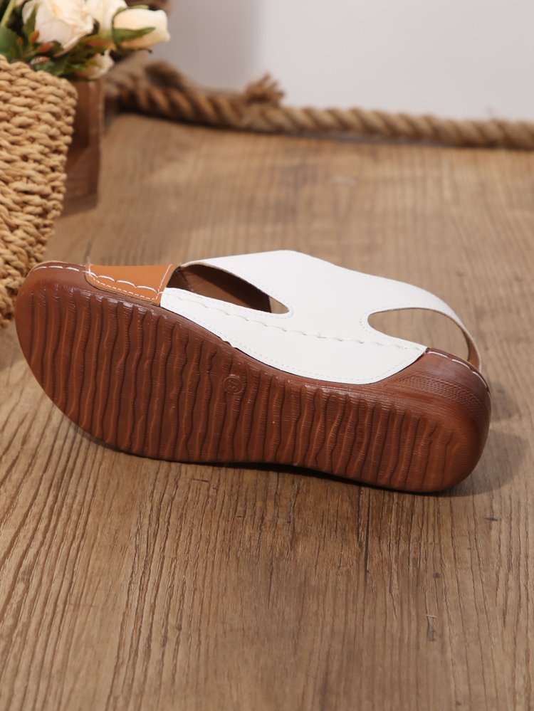 2025030121381287988249w1280h1705_750x750