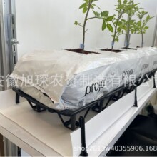 �۱�ϩPP�ռ��� �o������ ���� ���� �Ϲ� ���ܷNֲ