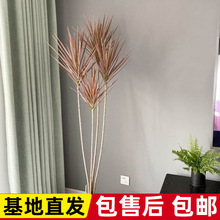 ǧ��ľ�͏d������ɫ��Ѫ��͏d�҃�������ȩ�����՚�Gֲ��
