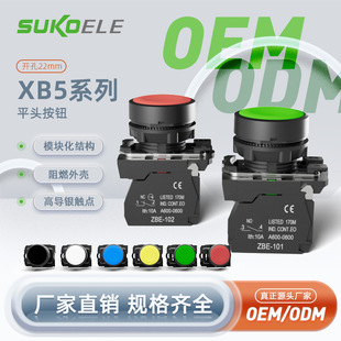 Neutral Plastic Flat Head Button Switch B5-Aa42 Aa31 Source Manufacturer
