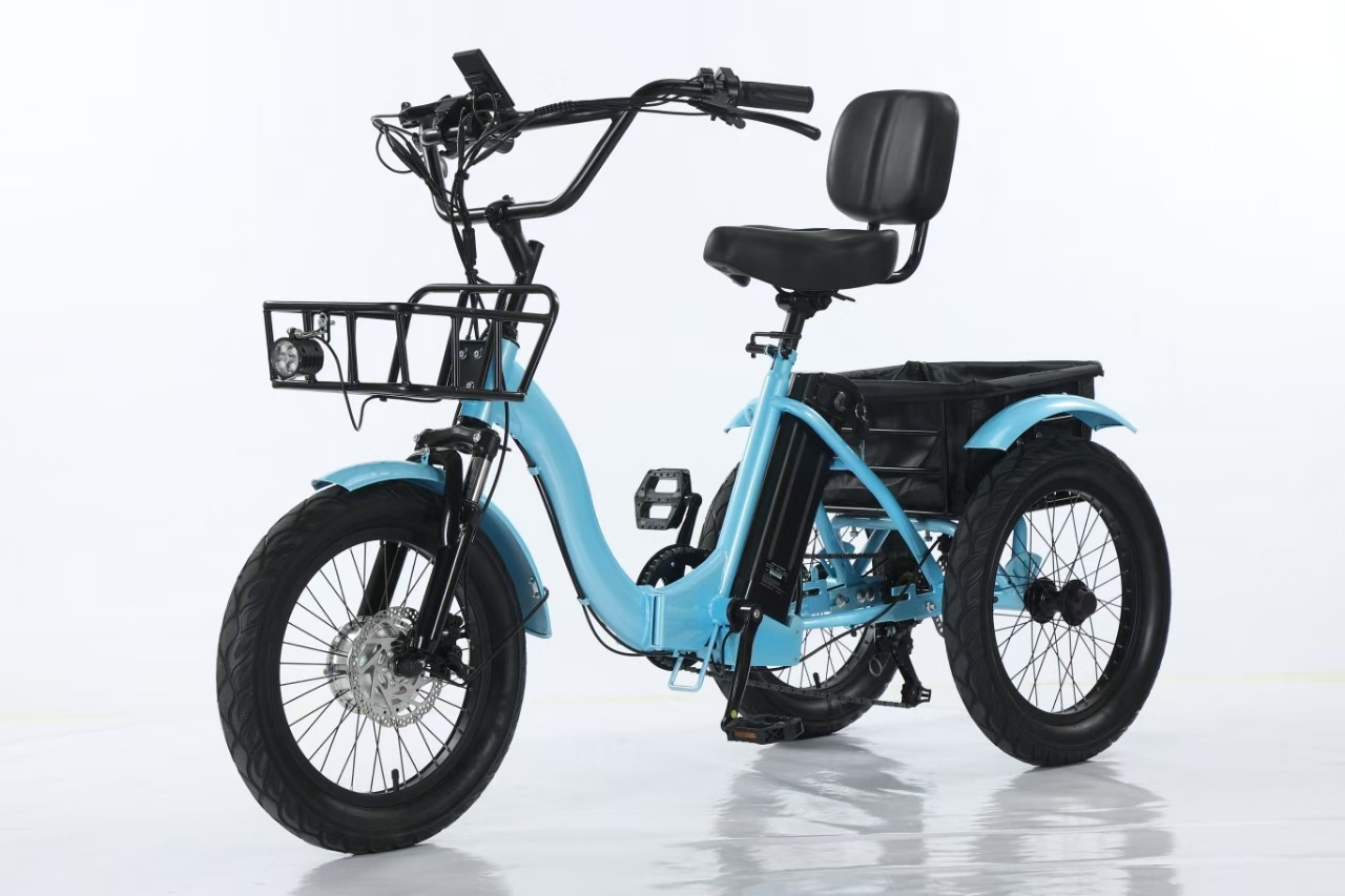 LFEY Folding Fat Tire Electric Tricycle Pedal Snow E-Bike (Auto Parts and Accessories) - tq-1