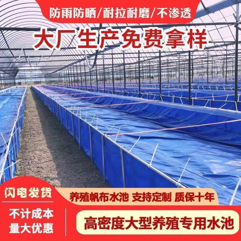 蓄水池长方形圆形防水布家用游泳池养殖水箱专用刀刮布养殖水池