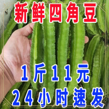 Al�������ⶹ�ĽǶ����r���]���������G�Į����خa���߲�����