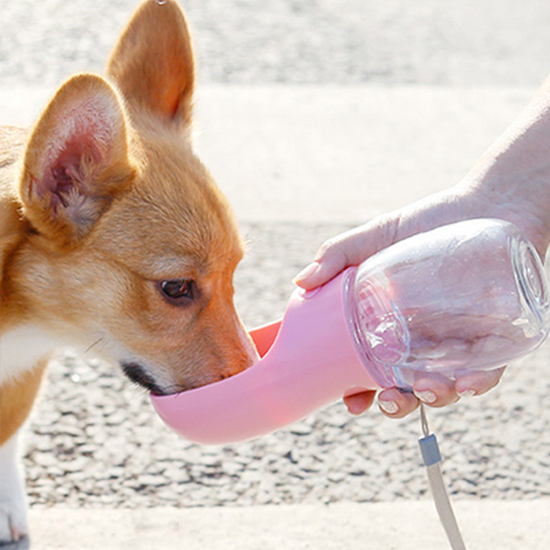 Suministros para mascotas perro gato al aire libre taza de agua al por mayor alimentación de agua para mascotas portátil tamaño pequeño taza de agua para mascotas