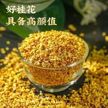 ���ڹ��ֹ𻨸ɹ���؛��ș��500g���ڂ��y�L�ɝ����𻨸��ݲ�