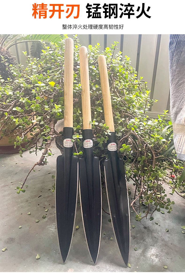 390d358c-5679-4c65-86db-a4074c85fb36.jpe