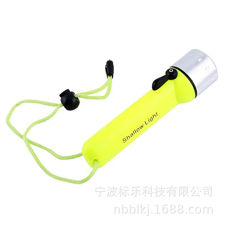 Universal flashlight, LED underwater travel plastic lights, diving