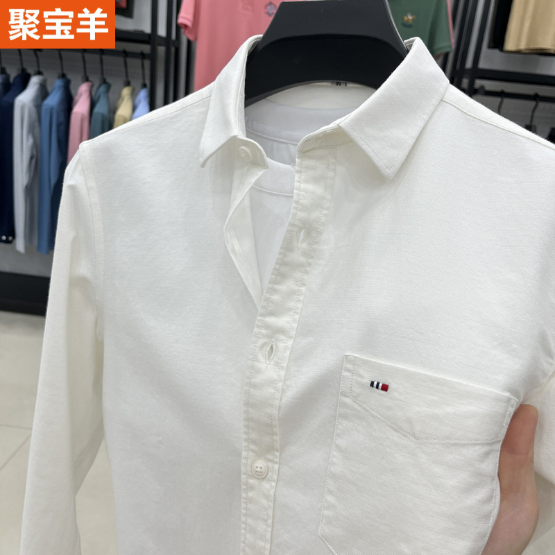 Cross-Border 100% Cotton Long-Sleeve Casual Shirt for Spring and Autumn, Wrinkle-Free Men's Oxford Shirt with Pockets