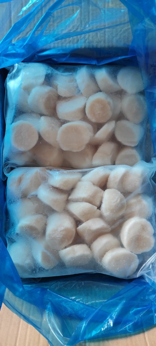 整箱扇贝柱帆立贝柱刺身料理锁鲜扇贝丁贝壳肉瑶贝柱日本扇贝肉