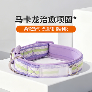 多功能宠物项圈