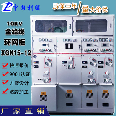 环网柜二进四出开闭所绝缘环网柜六氟化硫共箱式充气柜开闭站10kv