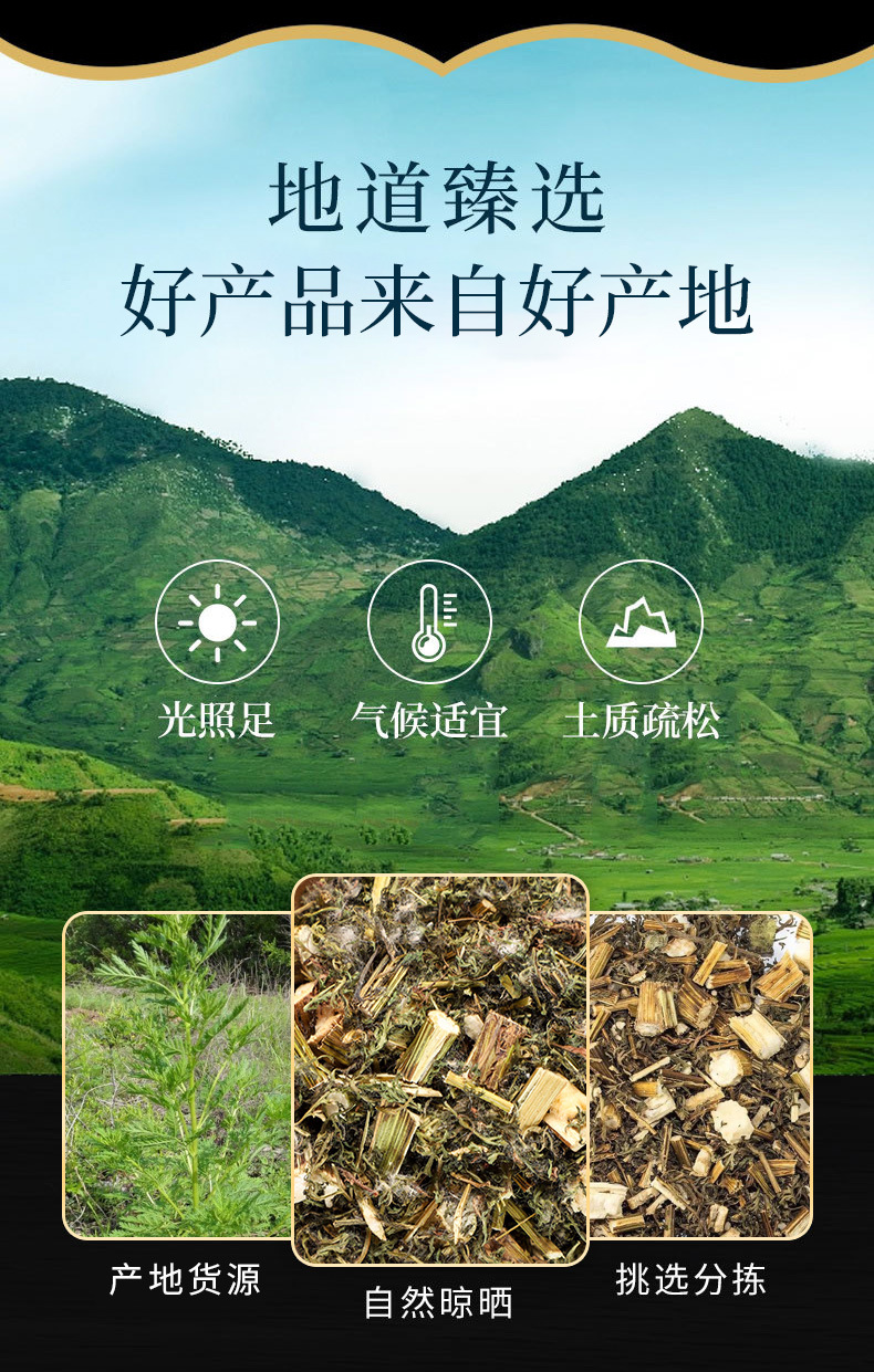 Qing Hao (Artemisia annua) — Dried Sweet Wormwood Herb & Powder, Food-Herb Botanical overview